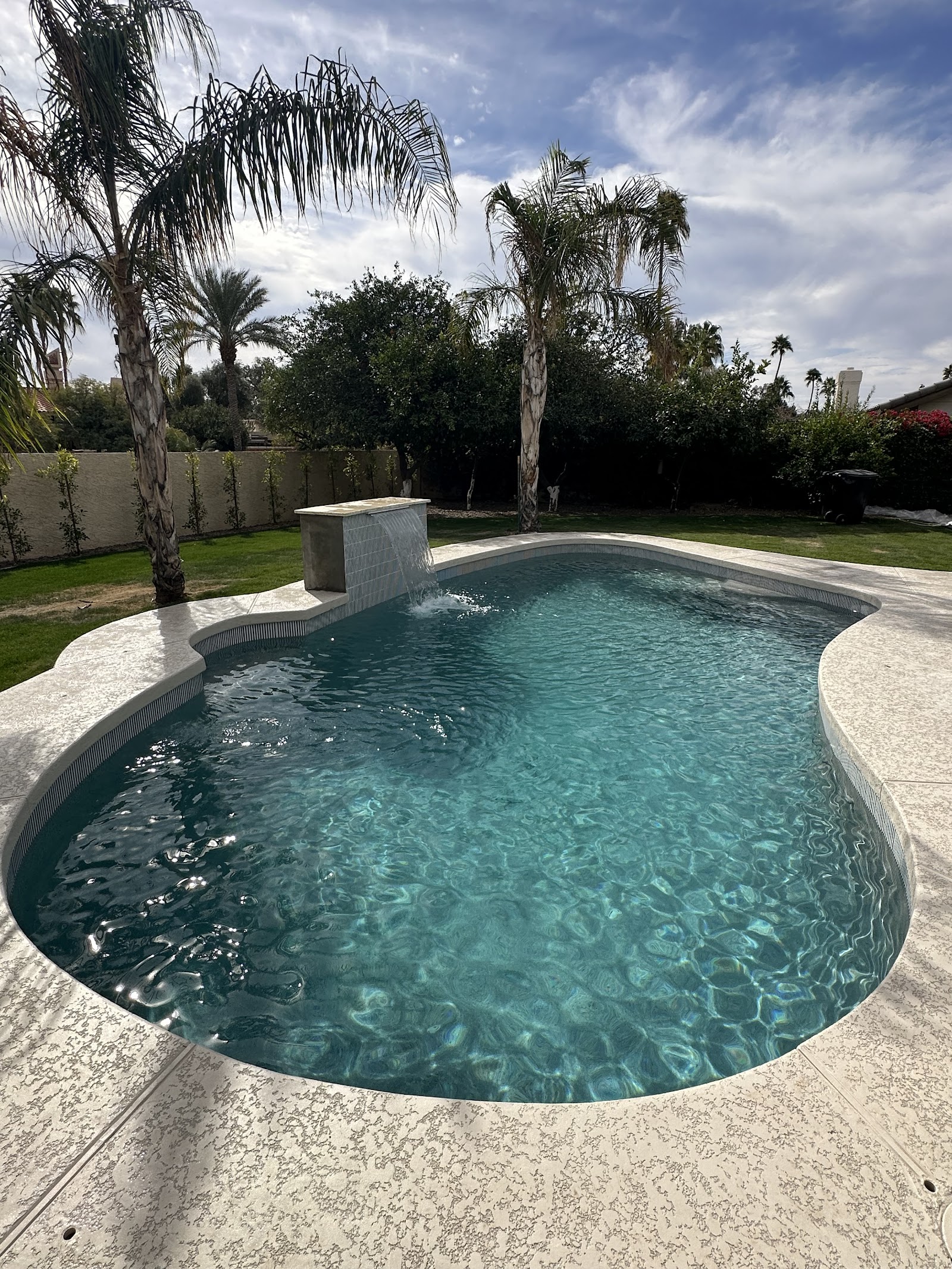Custom Backyard Pool Build